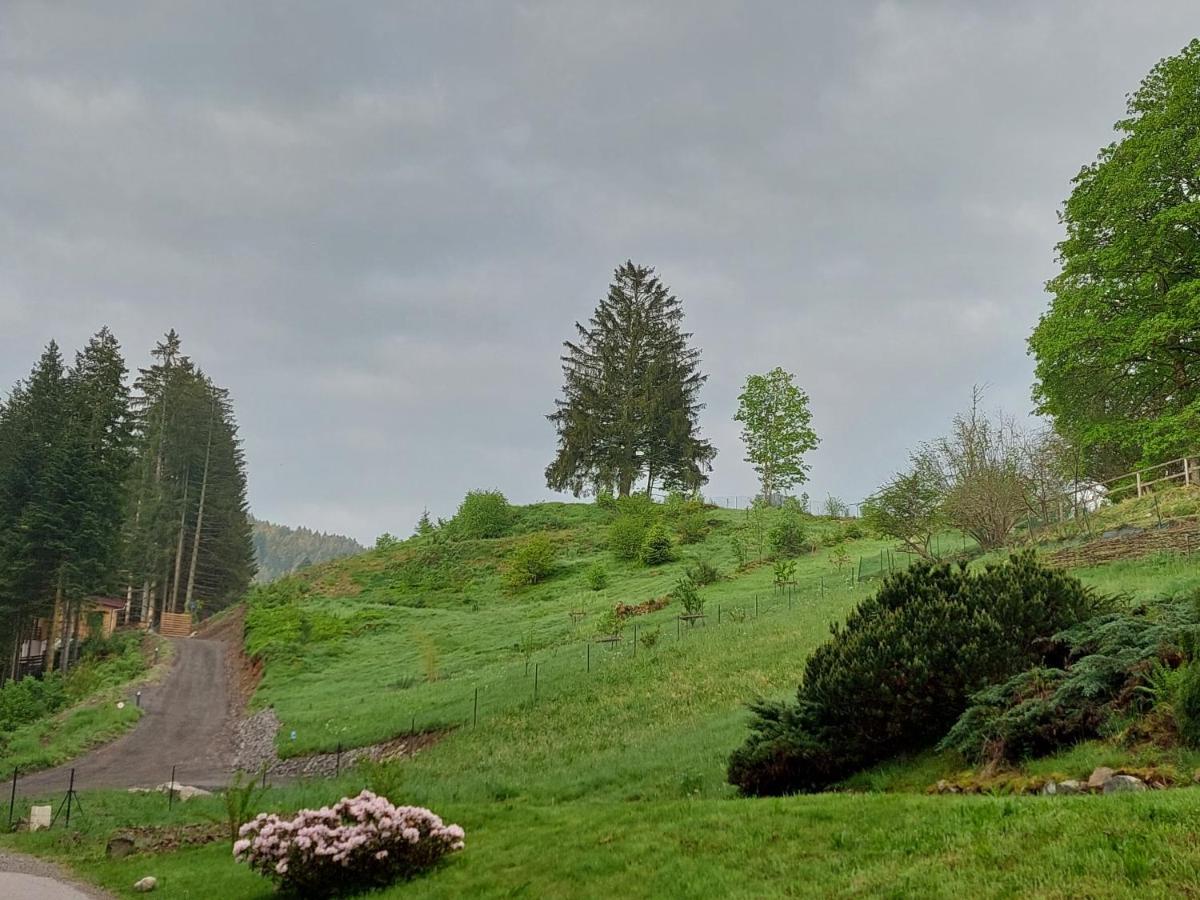 Le Refuge Perche Du Saut De La Bourrique Spa, Terrain Cloture Жерарме Экстерьер фото