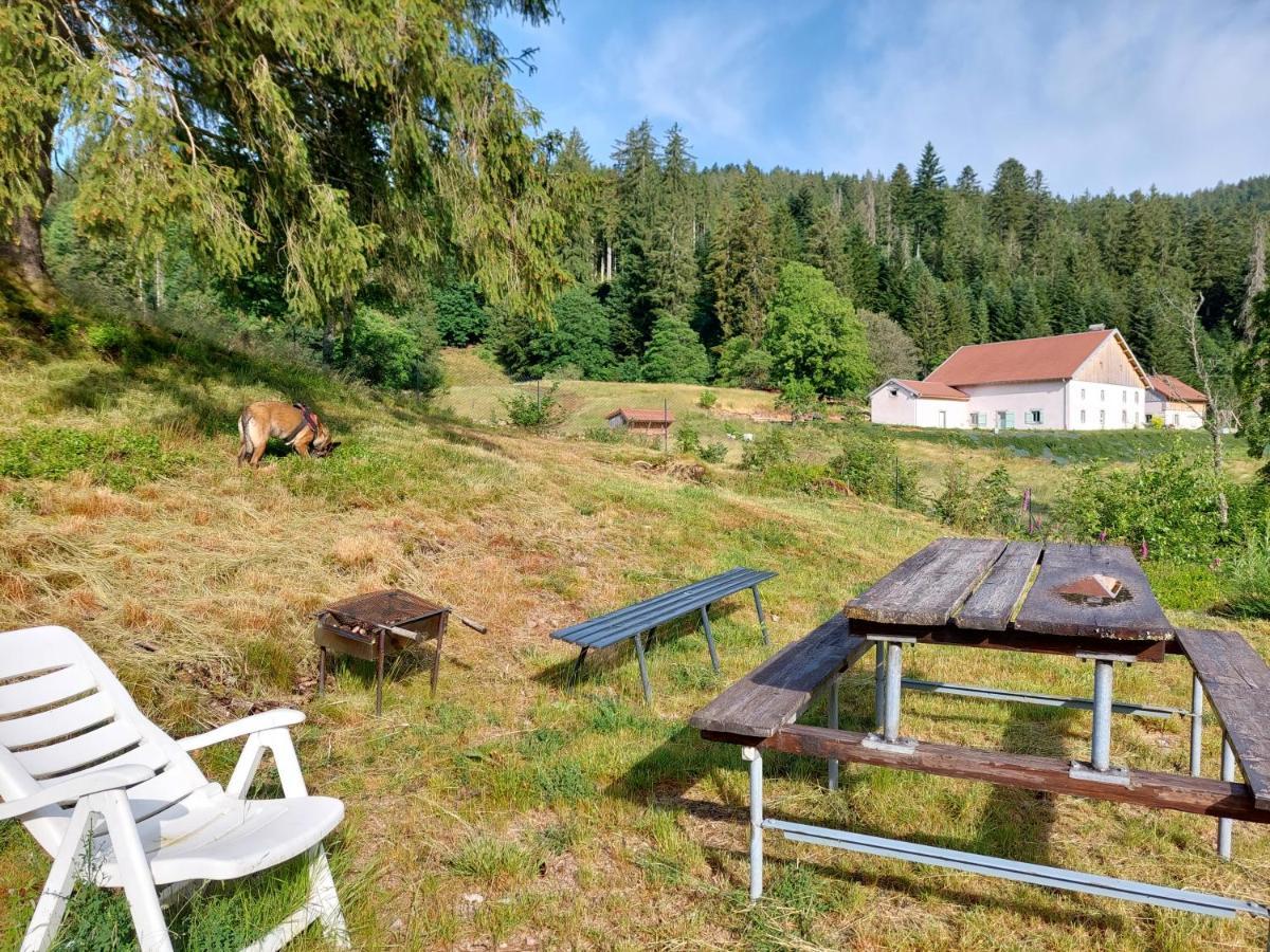 Le Refuge Perche Du Saut De La Bourrique Spa, Terrain Cloture Жерарме Экстерьер фото